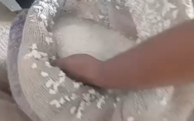 अगर ये राशन मैं आपके बच्चों को खिलाऊँ तो कैसा महसूस होगा ?